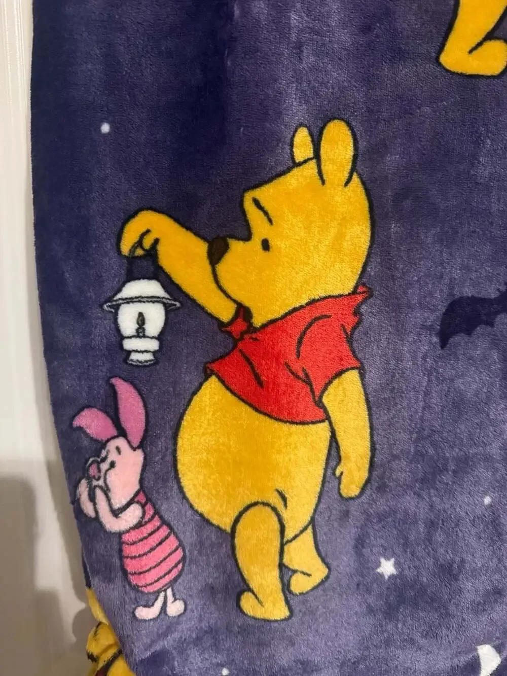 Disney Winnie the Pooh and Piglet Halloween Purple Plush Blanket 50x70